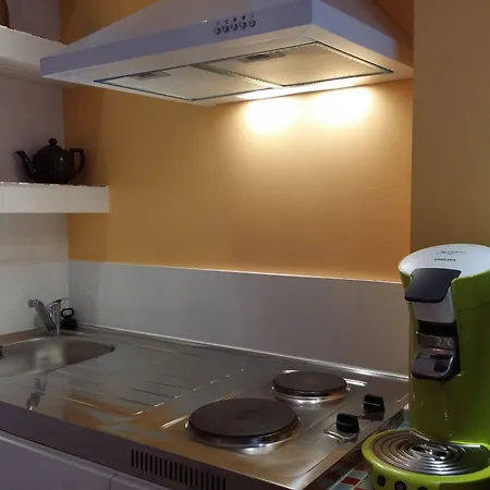 Bed & Breakfast La Berceau De Bernadette - Bernadette's Cradle - Near Bernadette'house 3*