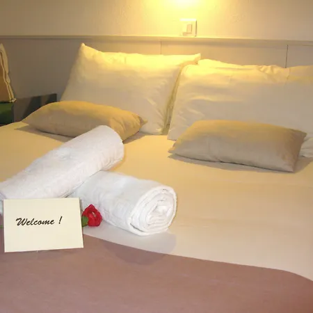 La Berceau De Bernadette - Bernadette's Cradle - Near Bernadette'house Bed & Breakfast Lourdes