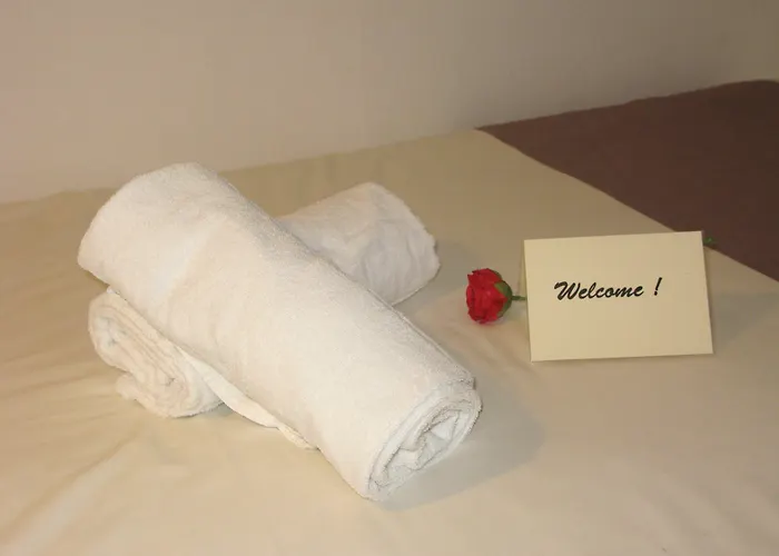 La Berceau De Bernadette - Bernadette's Cradle - Near Bernadette'house Bed & Breakfast Lourdes