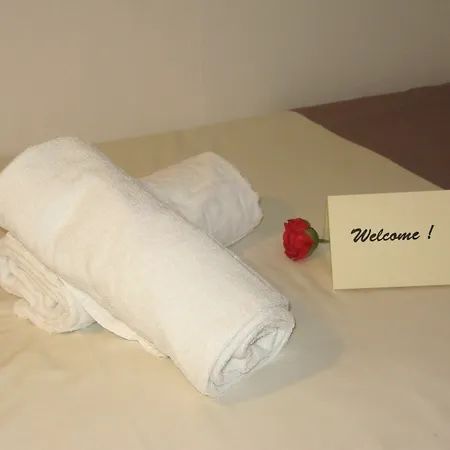 Bed & Breakfast Au Berceau De Bernadette Lourdes
