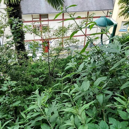 La Berceau De Bernadette - Bernadette's Cradle - Near Bernadette'house فندق مبيت وإفطار