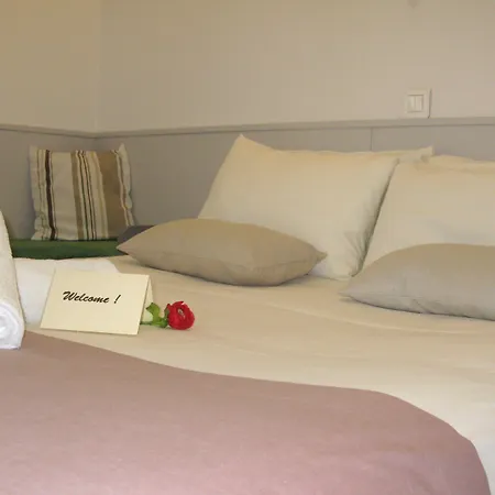 La Berceau De Bernadette - Bernadette's Cradle - Near Bernadette'house فندق مبيت وإفطار