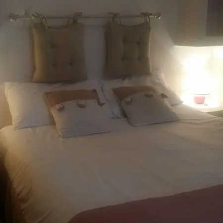 فندق مبيت وإفطار La Berceau De Bernadette - Bernadette's Cradle - Near Bernadette'house 3*