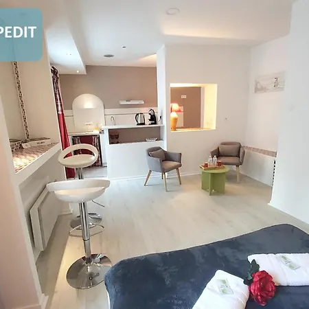 La Berceau De Bernadette - Bernadette's Cradle - Near Bernadette'house فندق مبيت وإفطار 3*