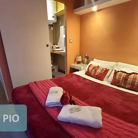 La Berceau De Bernadette - Bernadette's Cradle - Near Bernadette'house 3* لورد