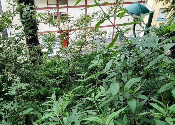 La Berceau De Bernadette - Bernadette's Cradle - Near Bernadette'house فندق مبيت وإفطار