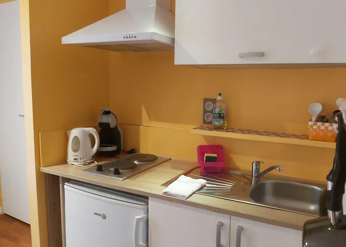 فندق مبيت وإفطار La Berceau De Bernadette - Bernadette's Cradle - Near Bernadette'house لورد