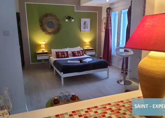 La Berceau De Bernadette - Bernadette's Cradle - Near Bernadette'house فندق مبيت وإفطار 3*