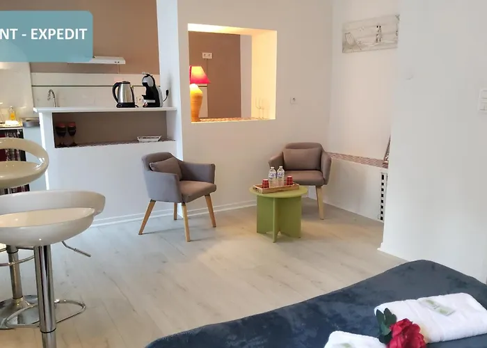 فندق مبيت وإفطار La Berceau De Bernadette - Bernadette's Cradle - Near Bernadette'house لورد