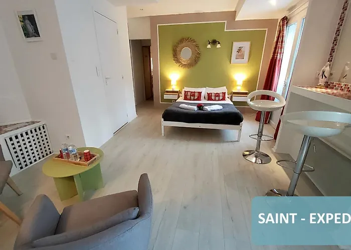 La Berceau De Bernadette - Bernadette's Cradle - Near Bernadette'house 3* لورد