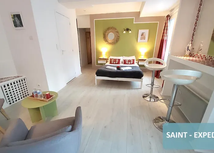 فندق مبيت وإفطار La Berceau De Bernadette - Bernadette's Cradle - Near Bernadette'house