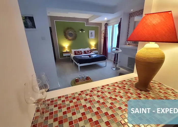 فندق مبيت وإفطار La Berceau De Bernadette - Bernadette's Cradle - Near Bernadette'house