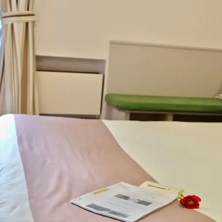 La Résidence Berceau De Bernadette 3* Lourdes
